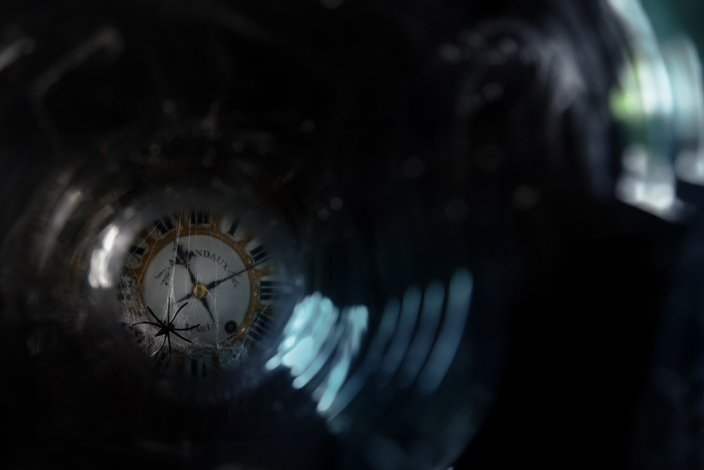 Platz 5 Daniela Korn